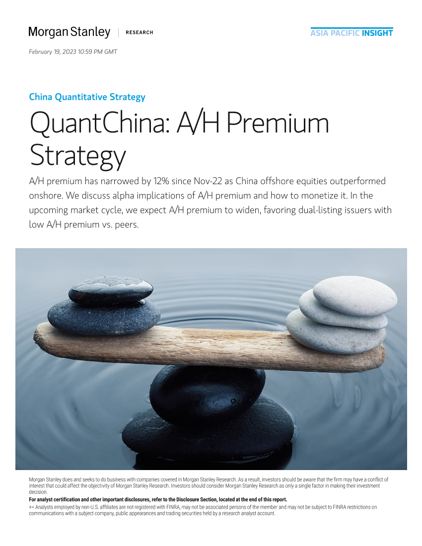 Morgan Stanley Fixed-China Quantitative Strategy QuantChina AH Premium Strateg...-Morgan Stanley Fixed-China Quantitative Strategy QuantChina AH Premium Strateg...-_1.png